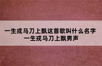 一生戎马刀上飘这首歌叫什么名字 一生戎马刀上飘男声